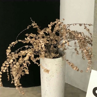 兽设质感表现实用教程福瑞交流群